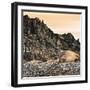 Antarctica Peninsula, Elephant Seal Rests on the Rocks-Janet Muir-Framed Photographic Print