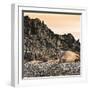 Antarctica Peninsula, Elephant Seal Rests on the Rocks-Janet Muir-Framed Photographic Print