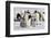 Antarctica, Snow Hill. Emperor penguin chicks stand near an adult in the hopes of being fed.-Ellen Goff-Framed Photographic Print