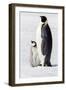 Antarctica, Snow Hill. Portrait of an adult with its chick.-Ellen Goff-Framed Photographic Print