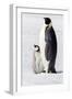 Antarctica, Snow Hill. Portrait of an adult with its chick.-Ellen Goff-Framed Photographic Print