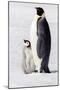 Antarctica, Snow Hill. Portrait of an adult with its chick.-Ellen Goff-Mounted Photographic Print