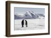 Antarctica, Snow Hill. Two emperor penguins stand together in the icy landscape.-Ellen Goff-Framed Photographic Print