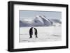 Antarctica, Snow Hill. Two emperor penguins stand together in the icy landscape.-Ellen Goff-Framed Photographic Print