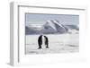 Antarctica, Snow Hill. Two emperor penguins stand together in the icy landscape.-Ellen Goff-Framed Photographic Print