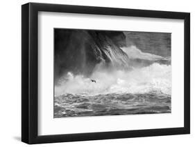 Antarctica, South Atlantic. Cormorant Flying over Frothing Sea-Bill Young-Framed Photographic Print