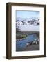 Antarctica, South Georgia Island. St. Andrew's Bay, King Penguins in mountain landscape.-Hollice Looney-Framed Photographic Print