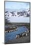 Antarctica, South Georgia Island. St. Andrew's Bay, King Penguins in mountain landscape.-Hollice Looney-Mounted Photographic Print