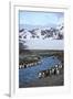 Antarctica, South Georgia Island. St. Andrew's Bay, King Penguins in mountain landscape.-Hollice Looney-Framed Photographic Print