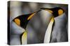 Antarctica, South Georgia, King penguin pair-George Theodore-Stretched Canvas