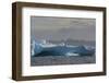 Antarctica. South of the Antarctic Circle. Iceberg-Inger Hogstrom-Framed Photographic Print