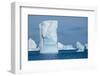 Antarctica, Southern Ocean, South Orkney Islands, Coronation Island, Iceberg Bay.-Cindy Miller Hopkins-Framed Photographic Print