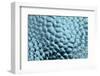 Antarctica, Southern Ocean, South Orkney Islands. Ice detail.-Cindy Miller Hopkins-Framed Photographic Print