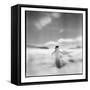 Antarctica, Torgerson Island, Adelie Penguin standing on snow.-Paul Souders-Framed Stretched Canvas