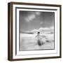 Antarctica, Torgerson Island, Adelie Penguin standing on snow.-Paul Souders-Framed Photographic Print