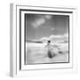 Antarctica, Torgerson Island, Adelie Penguin standing on snow.-Paul Souders-Framed Photographic Print