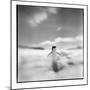 Antarctica, Torgerson Island, Adelie Penguin standing on snow.-Paul Souders-Mounted Photographic Print