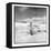 Antarctica, Torgerson Island, Adelie Penguin standing on snow.-Paul Souders-Framed Stretched Canvas