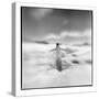 Antarctica, Torgerson Island, Adelie Penguin standing on snow.-Paul Souders-Stretched Canvas