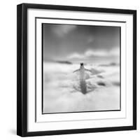 Antarctica, Torgerson Island, Adelie Penguin standing on snow.-Paul Souders-Framed Photographic Print