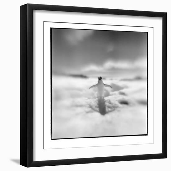 Antarctica, Torgerson Island, Adelie Penguin standing on snow.-Paul Souders-Framed Photographic Print