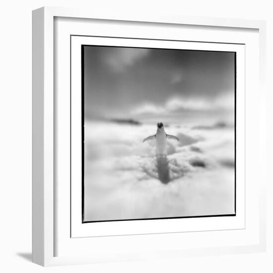 Antarctica, Torgerson Island, Adelie Penguin standing on snow.-Paul Souders-Framed Photographic Print