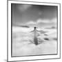 Antarctica, Torgerson Island, Adelie Penguin standing on snow.-Paul Souders-Mounted Photographic Print