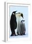 Antarctica Weddel Sea Atka Bay Emperor Penguin Family-Nosnibor137-Framed Photographic Print