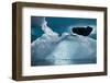 Antarctica, Weddell Sea. Ice detail.-Cindy Miller Hopkins-Framed Photographic Print