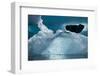 Antarctica, Weddell Sea. Ice detail.-Cindy Miller Hopkins-Framed Photographic Print