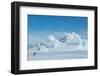 Antarctica, Weddell Sea, Snow Hill. Emperor penguin with iceberg in the distance.-Cindy Miller Hopkins-Framed Photographic Print