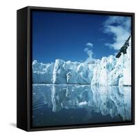 Antarctica-null-Framed Stretched Canvas