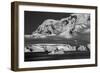 Antarctica-Art Wolfe-Framed Photographic Print