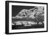 Antarctica-Art Wolfe-Framed Photographic Print