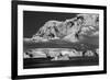 Antarctica-Art Wolfe-Framed Photographic Print