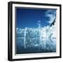 Antarctica-null-Framed Photographic Print