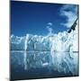 Antarctica-null-Mounted Photographic Print