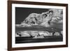 Antarctica-Art Wolfe-Framed Photographic Print