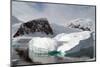 Antarctica-Natalie Tepper-Mounted Photo