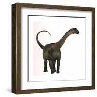 Antarctosaurus Dinosaur from the Cretaceous Period-null-Framed Art Print