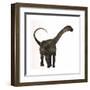 Antarctosaurus Dinosaur from the Cretaceous Period-null-Framed Art Print