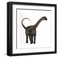 Antarctosaurus Dinosaur from the Cretaceous Period-null-Framed Art Print