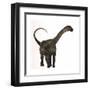 Antarctosaurus Dinosaur from the Cretaceous Period-null-Framed Art Print