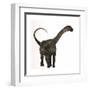 Antarctosaurus Dinosaur from the Cretaceous Period-null-Framed Art Print