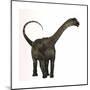 Antarctosaurus Dinosaur from the Cretaceous Period-null-Mounted Art Print