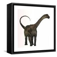 Antarctosaurus Dinosaur from the Cretaceous Period-null-Framed Stretched Canvas