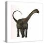 Antarctosaurus Dinosaur from the Cretaceous Period-null-Stretched Canvas