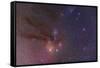 Antares and Scorpius Head Area with Rho Ophiuchi Nebulosity-null-Framed Stretched Canvas