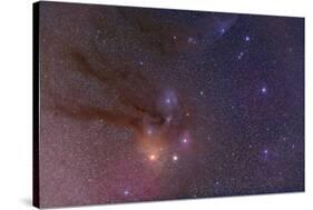 Antares and Scorpius Head Area with Rho Ophiuchi Nebulosity-null-Stretched Canvas