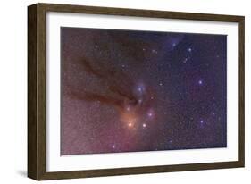 Antares and Scorpius Head Area with Rho Ophiuchi Nebulosity-null-Framed Photographic Print